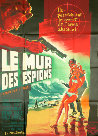 Le Mur des espions