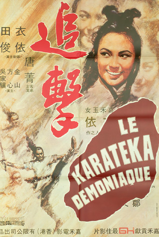 Le Karateka démoniaque