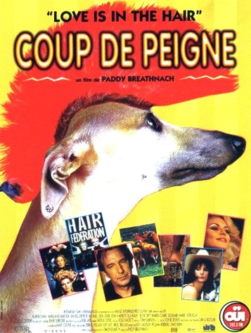 Coup de peigne