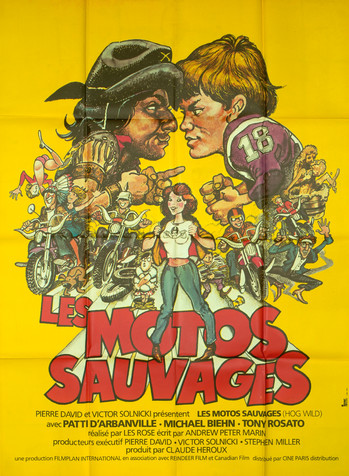 Les Motos sauvages