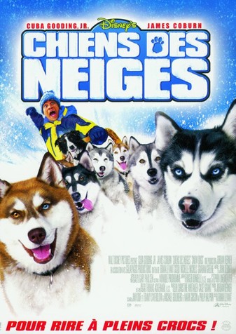 Chiens des neiges