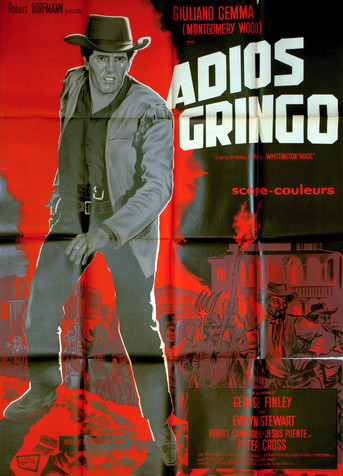 Adios Gringo