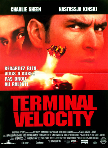 Terminal Velocity