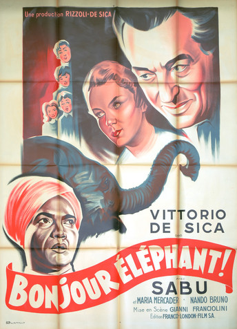 Bonjour éléphant !