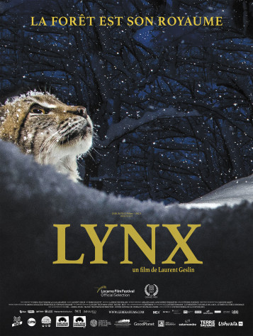 Lynx