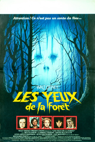 Les Yeux de la forêt