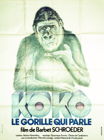 Koko, le gorille qui parle