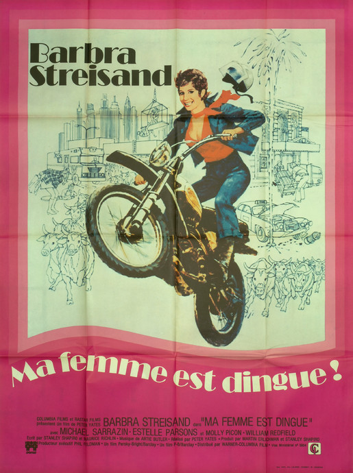 Ma femme est dingue