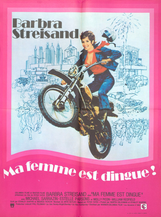 Ma femme est dingue