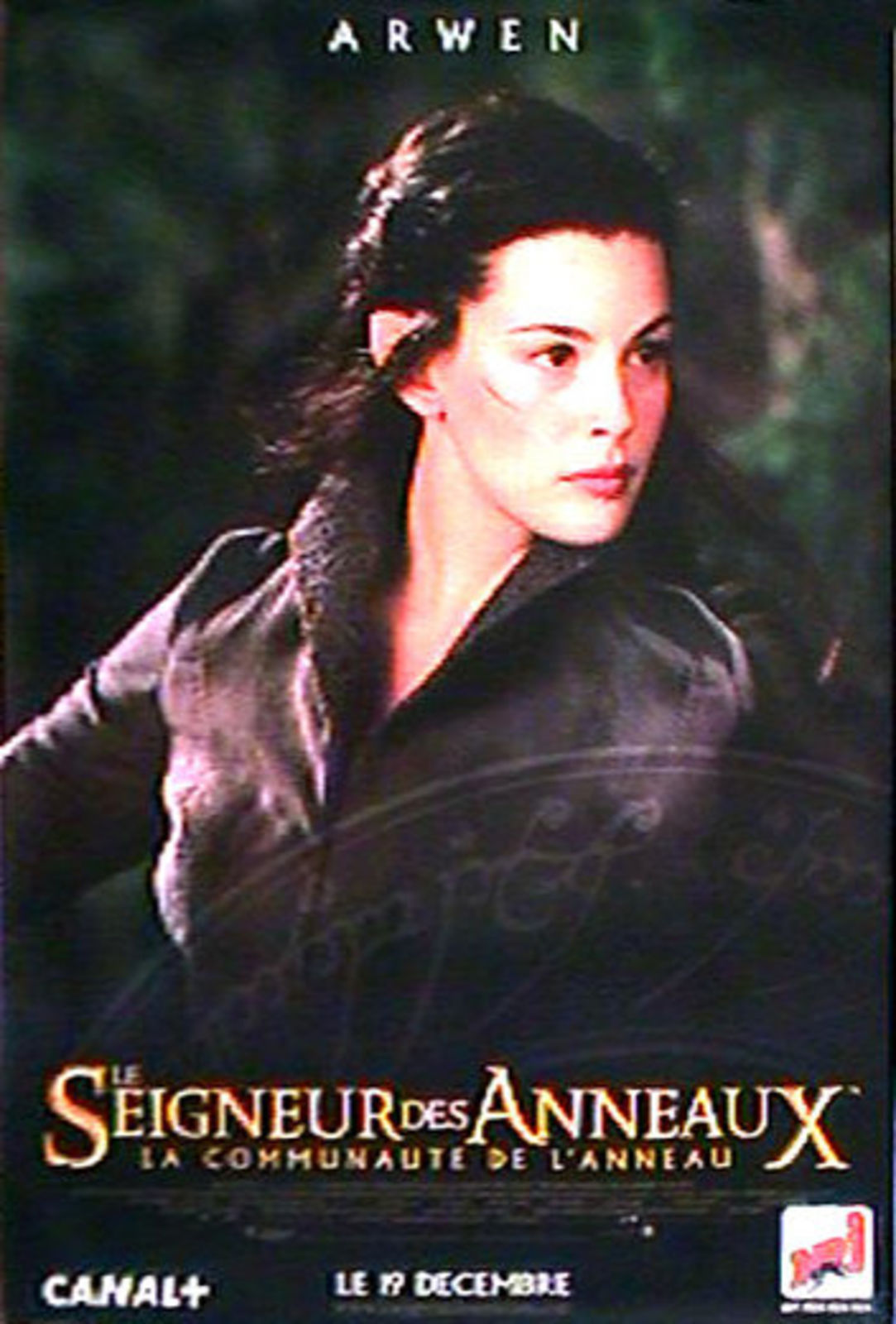 Le Seigneur Des Anneaux : La Communauté De L'anneau En Streaming Direct