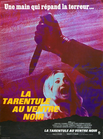 Tarentule au ventre noir