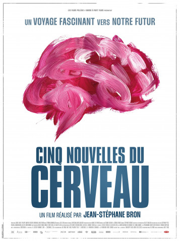 Cinq nouvelles du cerveau