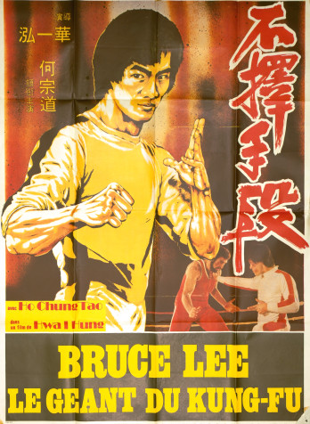 Bruce Lee le géant du Kung Fu