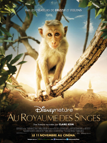 Au royaume des singes