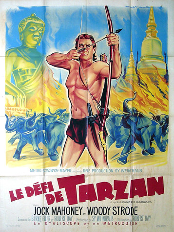 Le Défi de Tarzan