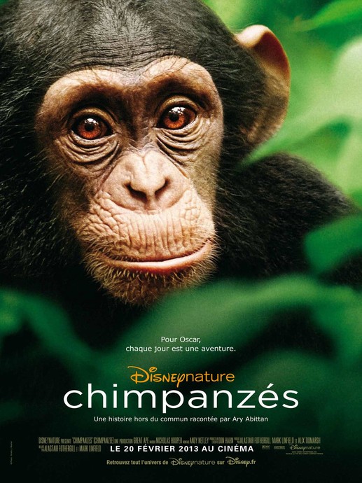 Chimpanzés