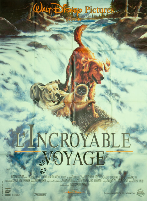 L'Incroyable voyage