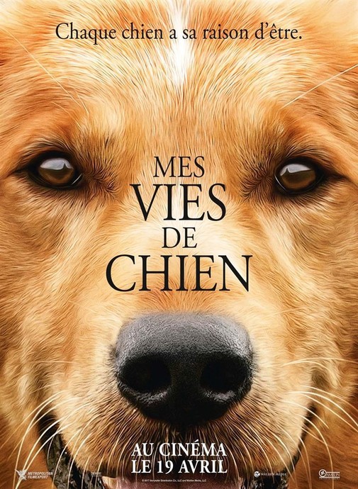 Mes vies de chien