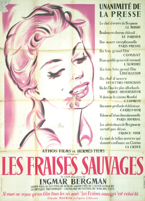 Les Fraises sauvages