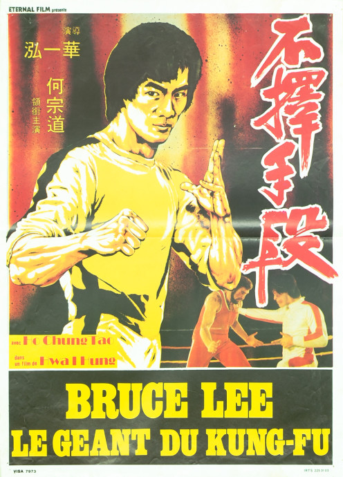 Bruce Lee le géant du Kung Fu