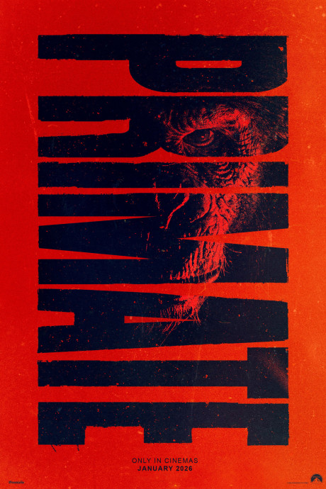 Primate