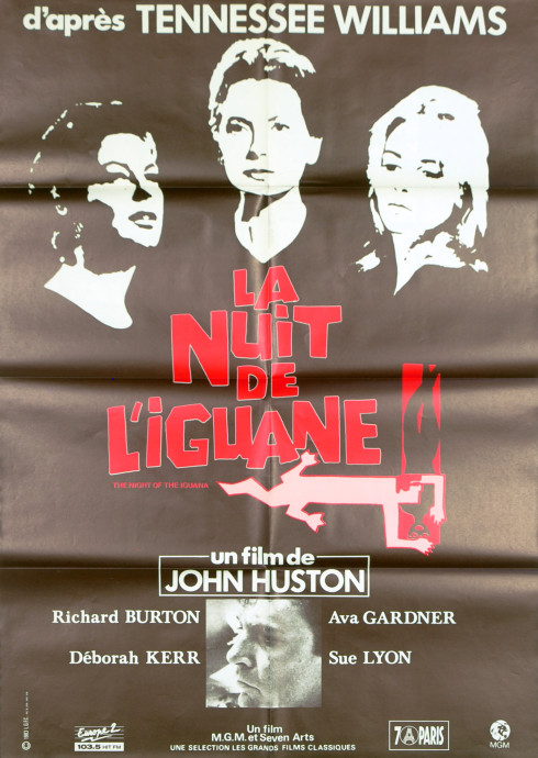 La Nuit de l'iguane