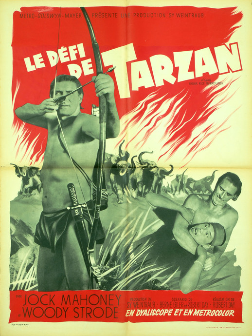 Le Défi de Tarzan