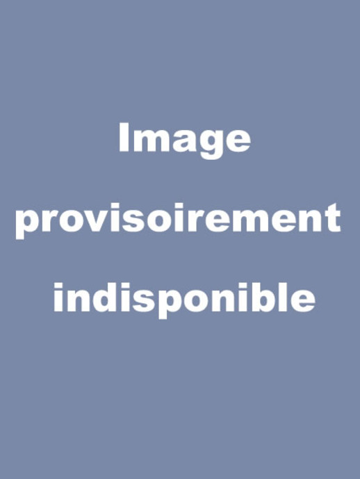 La Folle Histoire de l'Espace